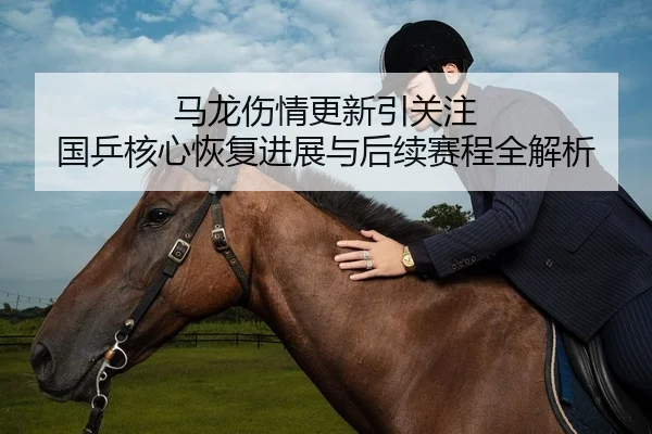 马龙伤情更新引关注 国乒核心恢复进展与后续赛程全解析