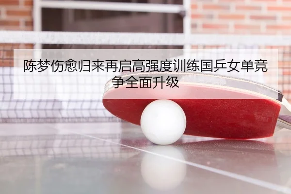 陈梦伤愈归来再启高强度训练国乒女单竞争全面升级