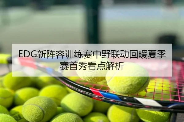 EDG新阵容训练赛中野联动回暖夏季赛首秀看点解析